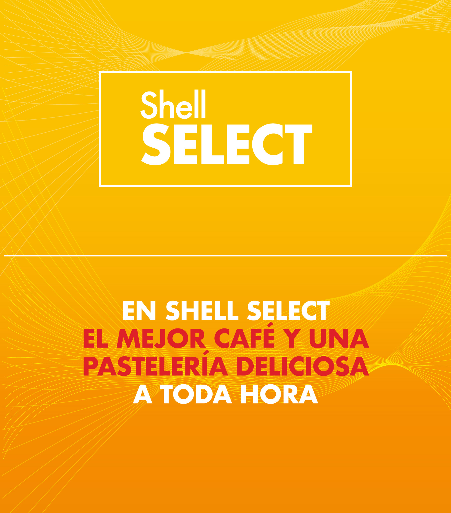 Shell Box 4